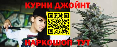 сатива Новозыбков
