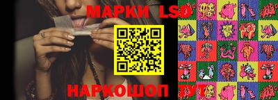 сатива Новозыбков