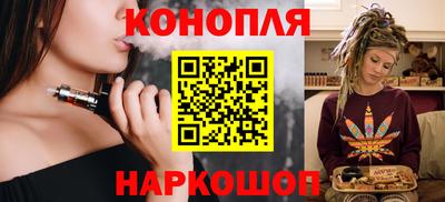 сатива Новозыбков