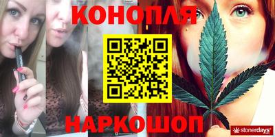 сатива Новозыбков