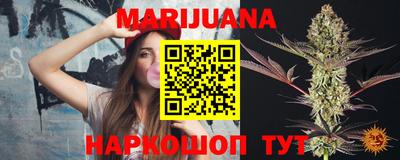 сатива Новозыбков