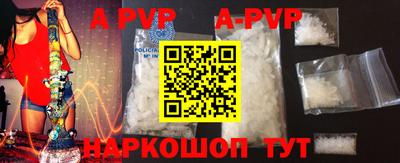 сатива Новозыбков